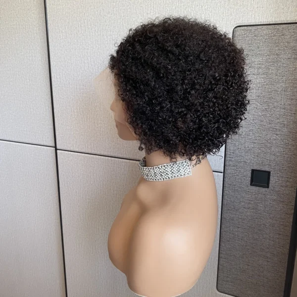 Short Wigs For Black Women Kinky Curly Pixie Cut Glueless Bob - Image 3