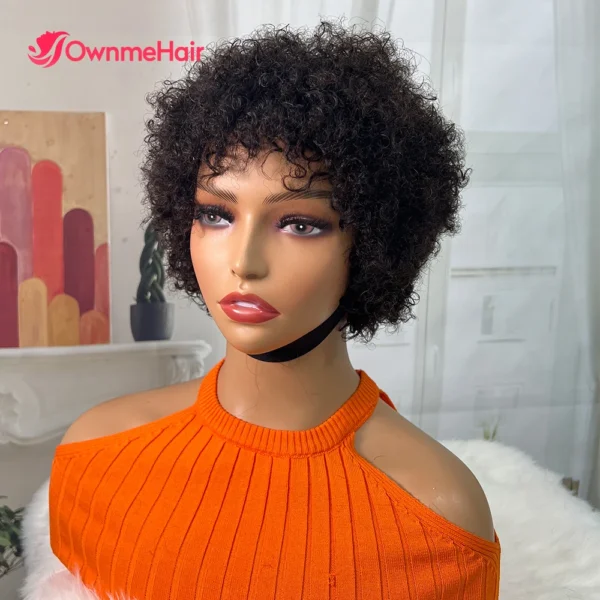 Short Wigs Afro Brazilian Curly Human Hair Glueless Kinky Wig - Image 2