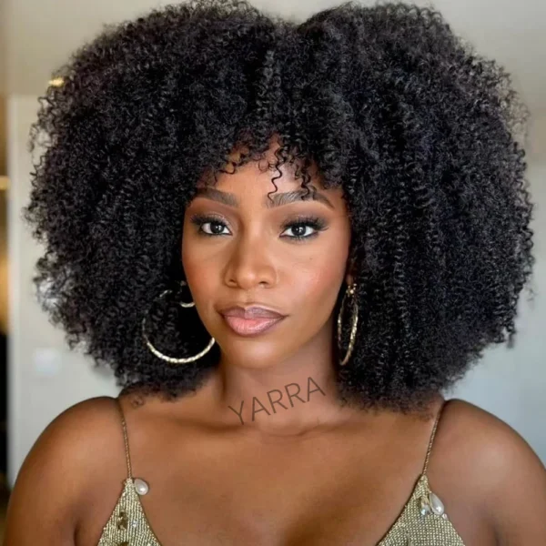 Short Wigs For Black Women Afro Kinky Curly Human Hair Wig