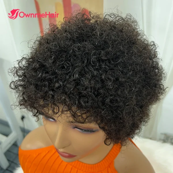 Short Wigs Afro Brazilian Curly Human Hair Glueless Kinky Wig - Image 3