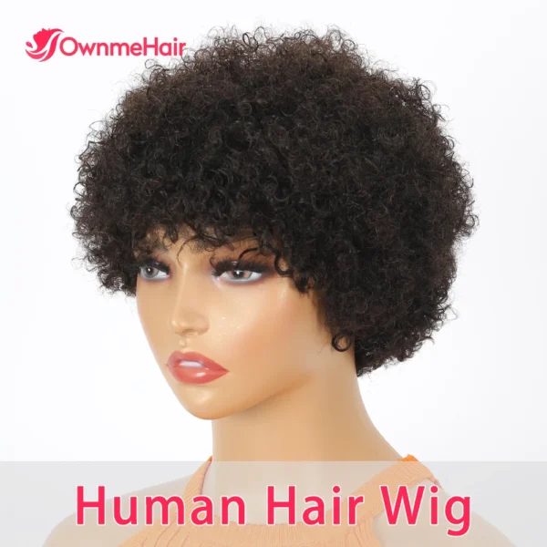 Short Wigs Afro Brazilian Curly Human Hair Glueless Kinky Wig