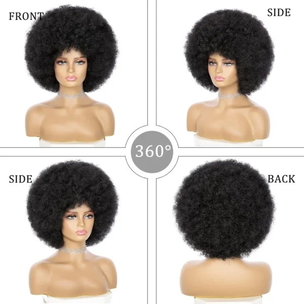 Synthetic Short Afro Wig With Bangs Bouncy Kinky Curly for Women - Image 2