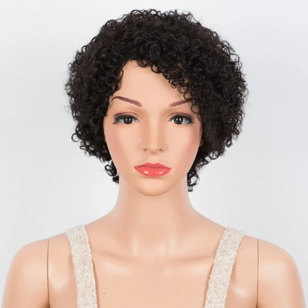 Short Wigs For Black Women Curly Bob Wig With Bangs Human Hair