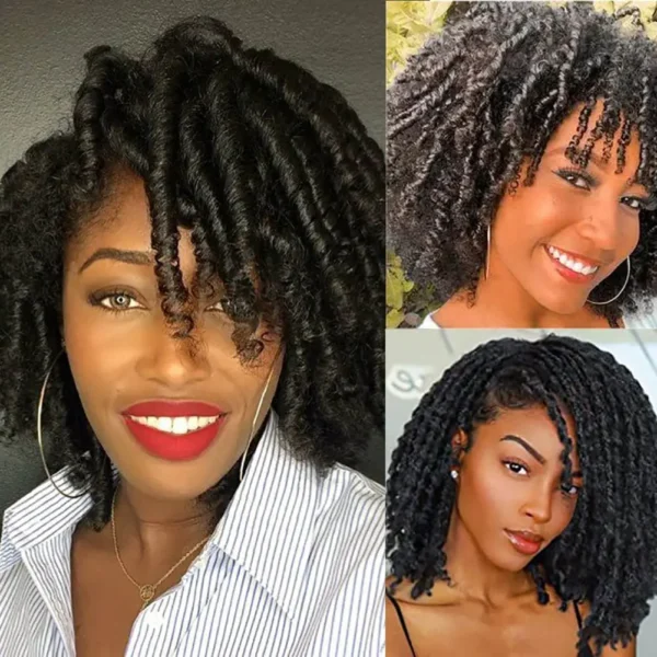 Short Wigs Afro Curly Twist Braids Heat Resistant Fiber